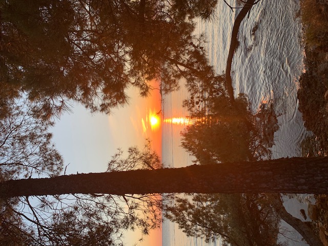 Stacks Image 109761